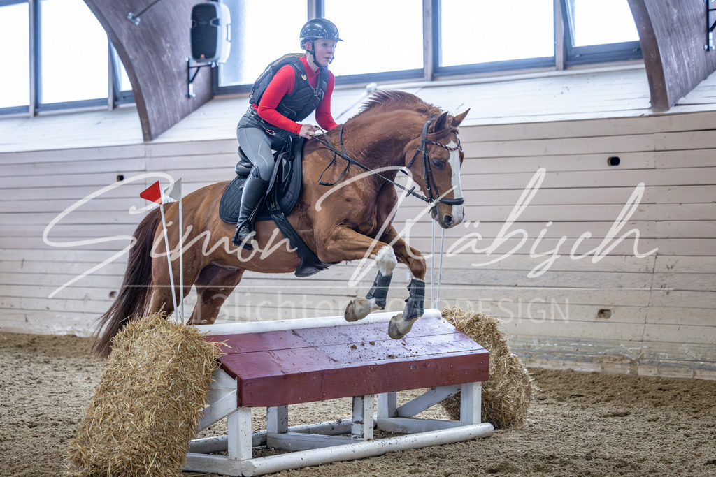 20260221-_3LI9160 | Tierfotografie Pferde, Hunde, Katzen, Haustiere.
Turnierfotografie Reitturniere, Reiten, Springreiten, Dressur in Hanau, dem Main-Kinzig-Kreis und dem Rhein-Main- Gebiet um Frankfurt