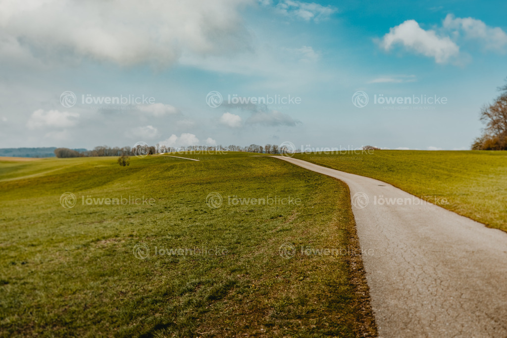 Der Weg in die Ferne | löwenblicke | shop