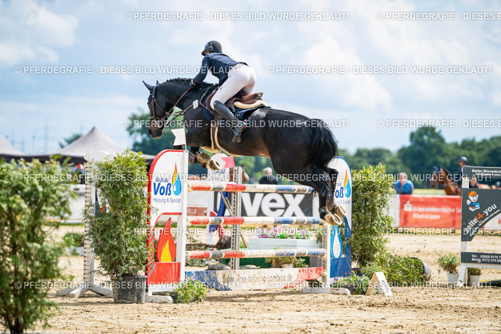 DSC05830 | Pferdegrafie