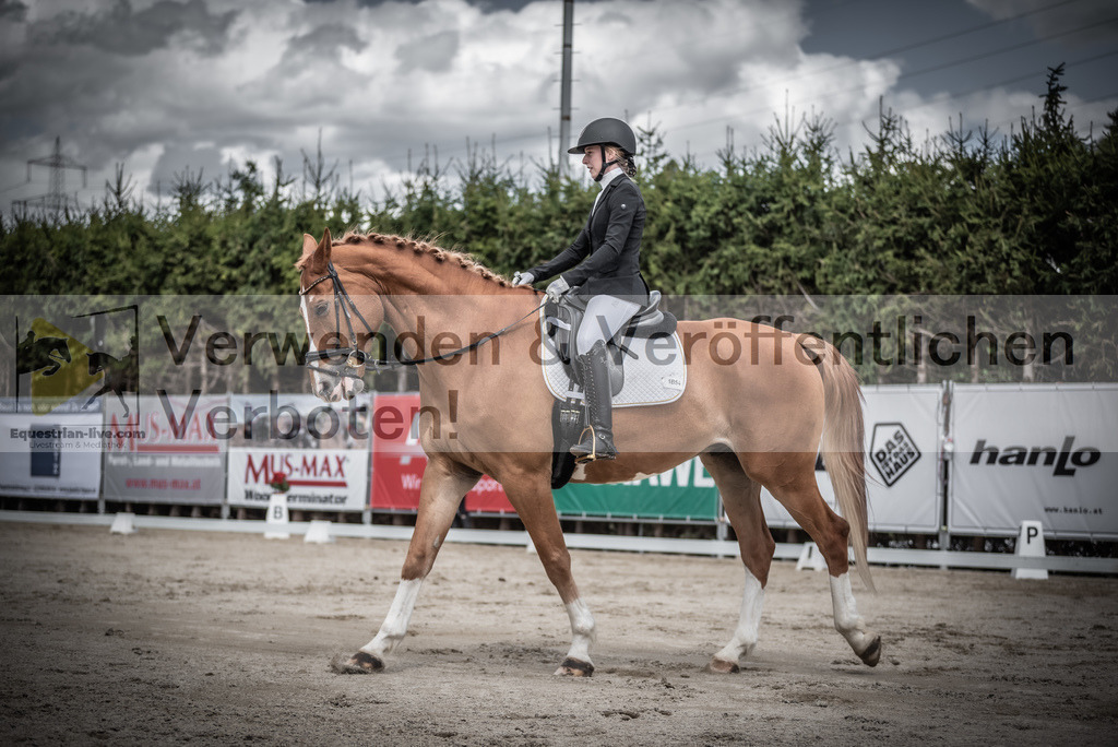 DSC_2749 | equestrian-live-com