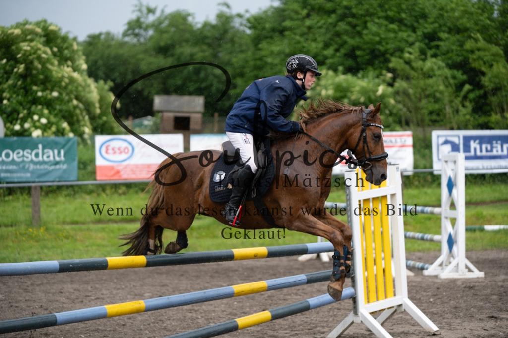 A7V05050 | Pferdefotograf