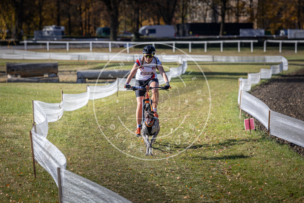CaniXpix_DV3A7242 | Hundefotografie, Tierfotograf, Pfotenfotografie, Fotoshooting Hund, Hunde Portrait, Hundesport, Hundeportraits, Heideshooting, Hunde, Sportfotograf, Hundefotograf, Turnierhundsport, THS,  - Realisiert mit Pictrs.com