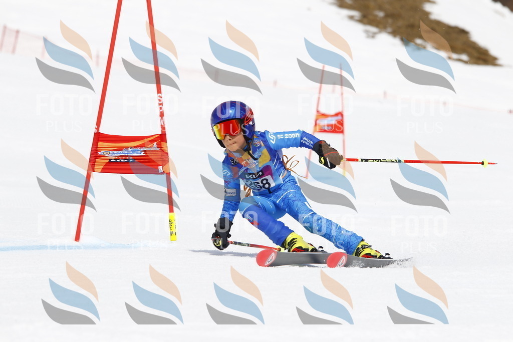 _U3G6726 | holidayphoto