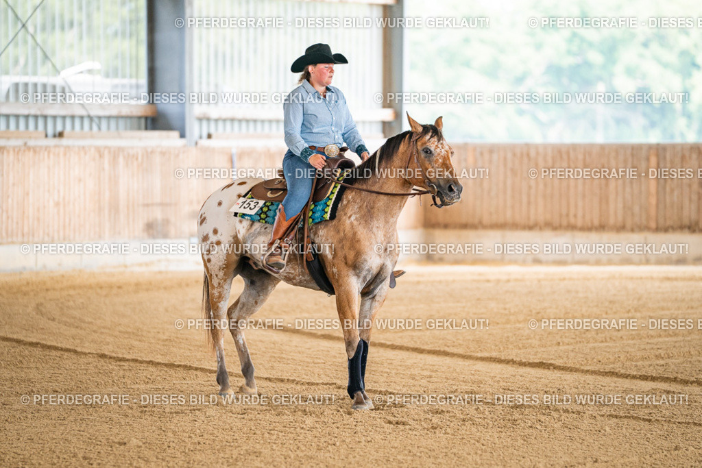 DSC03916 | Pferdegrafie