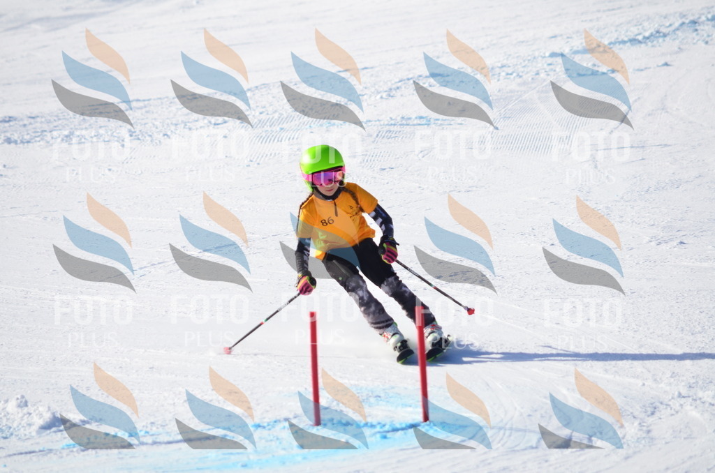 C6023 | holidayphoto