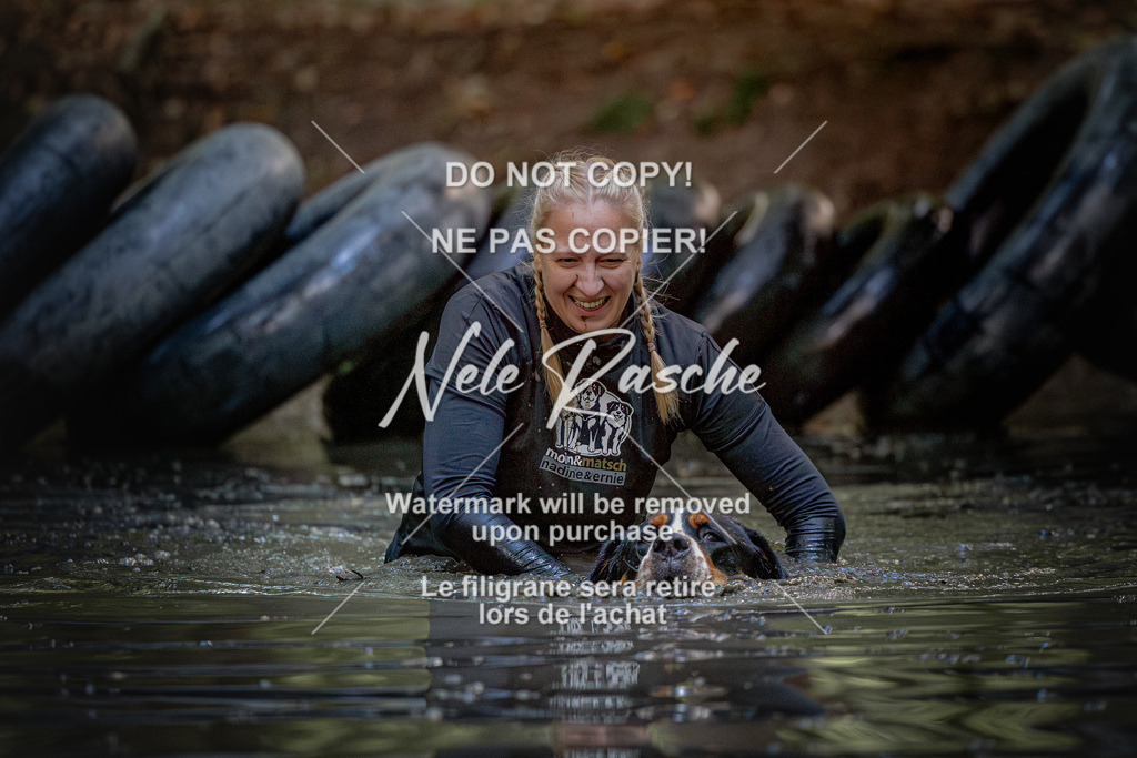 nelerasche_SaWingst1530-1600_317 | nelerasche