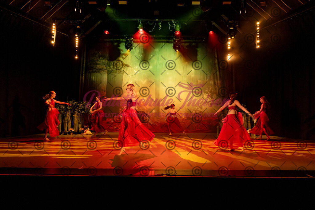 Ballettaufführung-195 | Bildershop Lem'n Entertainment - Realisiert mit Pictrs.com