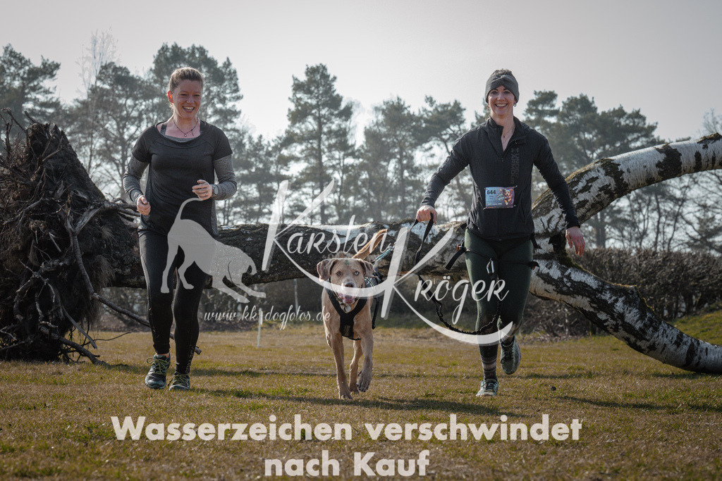 1106_ZZ94672 | kk-dogfotos