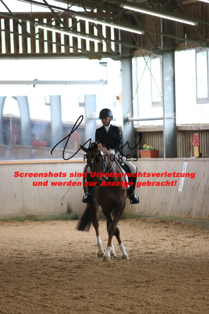 IMG_0683 | lmwpictures - Realisiert mit Pictrs.com