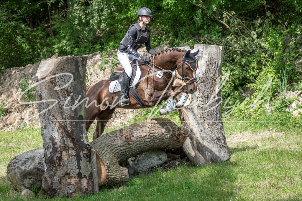 20260523-_3LI9286 | Tierfotografie Pferde, Hunde, Katzen, Haustiere.
Turnierfotografie Reitturniere, Reiten, Springreiten, Dressur in Hanau, dem Main-Kinzig-Kreis und dem Rhein-Main- Gebiet um Frankfurt