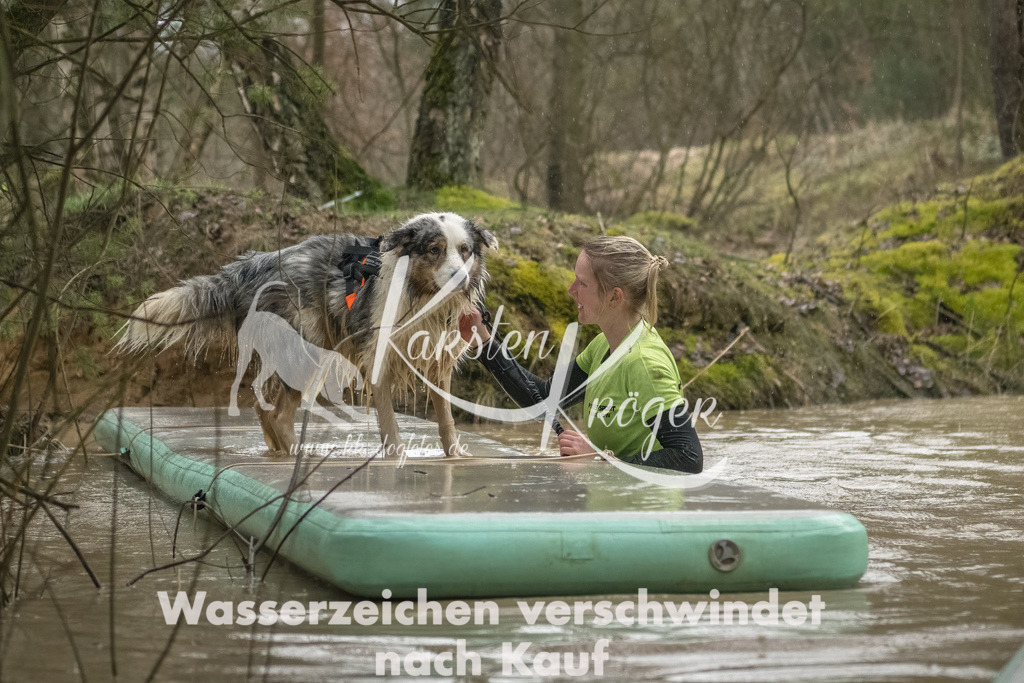 1045_ZZ93320-Bearbeitet | kk-dogfotos