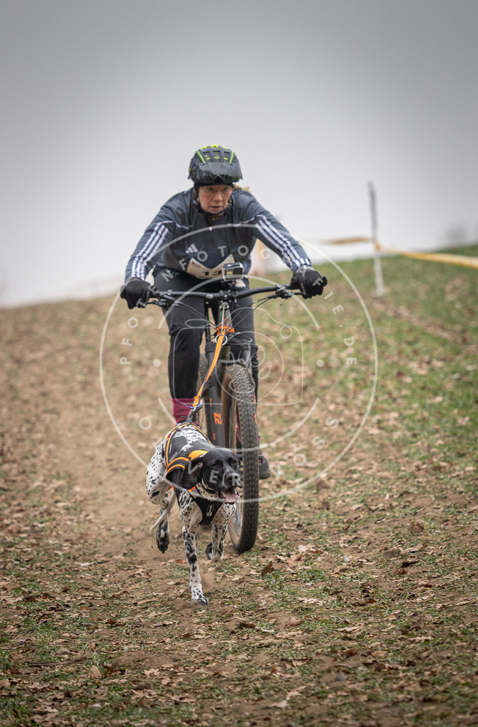 Pfotenfotografie_DV3A2439 | Hundefotografie, Tierfotograf, Pfotenfotografie, Fotoshooting Hund, Hunde Portrait, Hundesport, Hundeportraits, Heideshooting, Hunde, Sportfotograf, Hundefotograf, Turnierhundsport, THS,  - Realisiert mit Pictrs.com