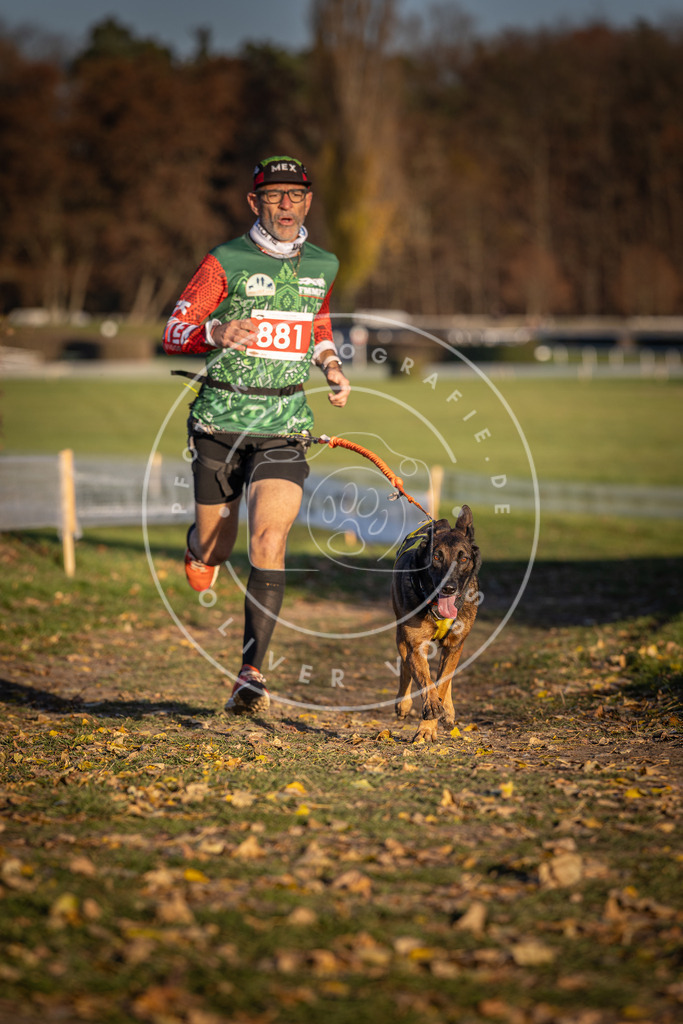 CaniXpix_DV3A4335 | Hundefotografie, Tierfotograf, Pfotenfotografie, Fotoshooting Hund, Hunde Portrait, Hundesport, Hundeportraits, Heideshooting, Hunde, Sportfotograf, Hundefotograf, Turnierhundsport, THS,  - Realisiert mit Pictrs.com