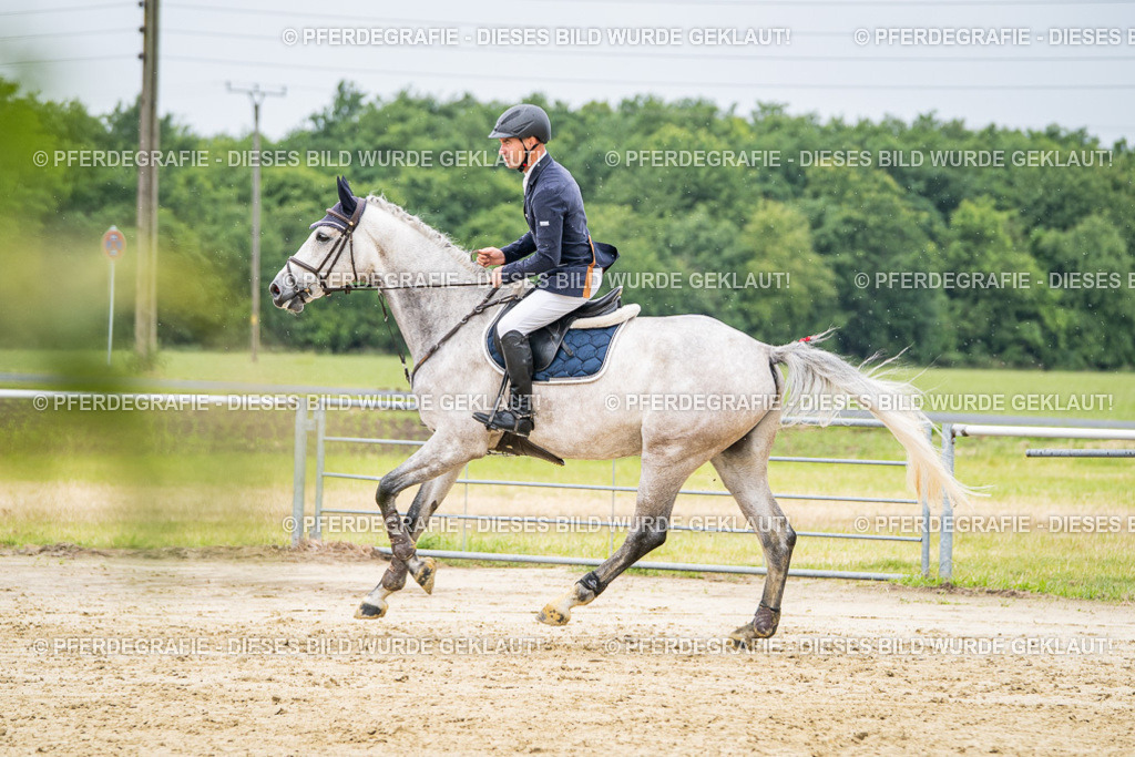 DSC02704 | Pferdegrafie