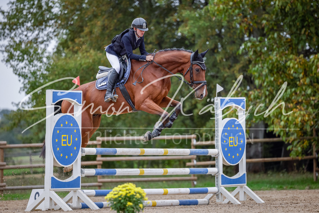 20251012-_3LI4538 | Tierfotografie Pferde, Hunde, Katzen, Haustiere.
Turnierfotografie Reitturniere, Reiten, Springreiten, Dressur in Hanau, dem Main-Kinzig-Kreis und dem Rhein-Main- Gebiet um Frankfurt
