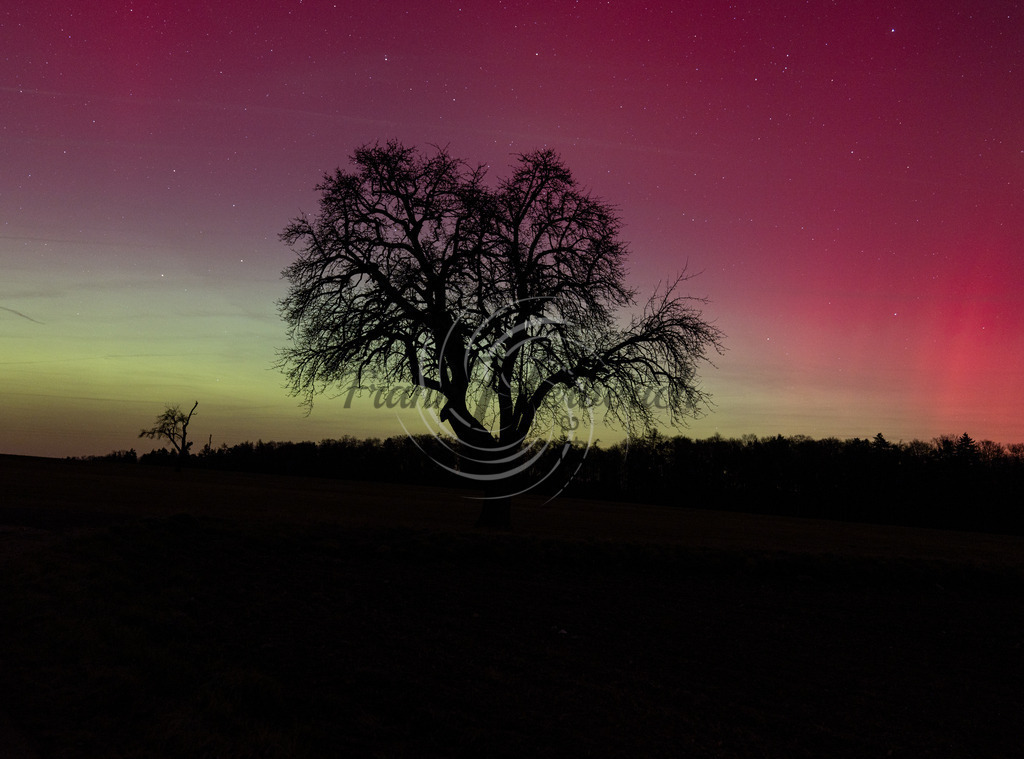 _X0A6534-3 | Frank Herberich Fotografie, Frank Herberich, Fotografie, Hochzeit, Portrait, St. Peter Ording, Ording, Westerhever, Nordsee, Frank Fotografie, Hardheim,  Odenwald,Walldürn, Band,Eventfotografie - Realisiert mit Pictrs.com