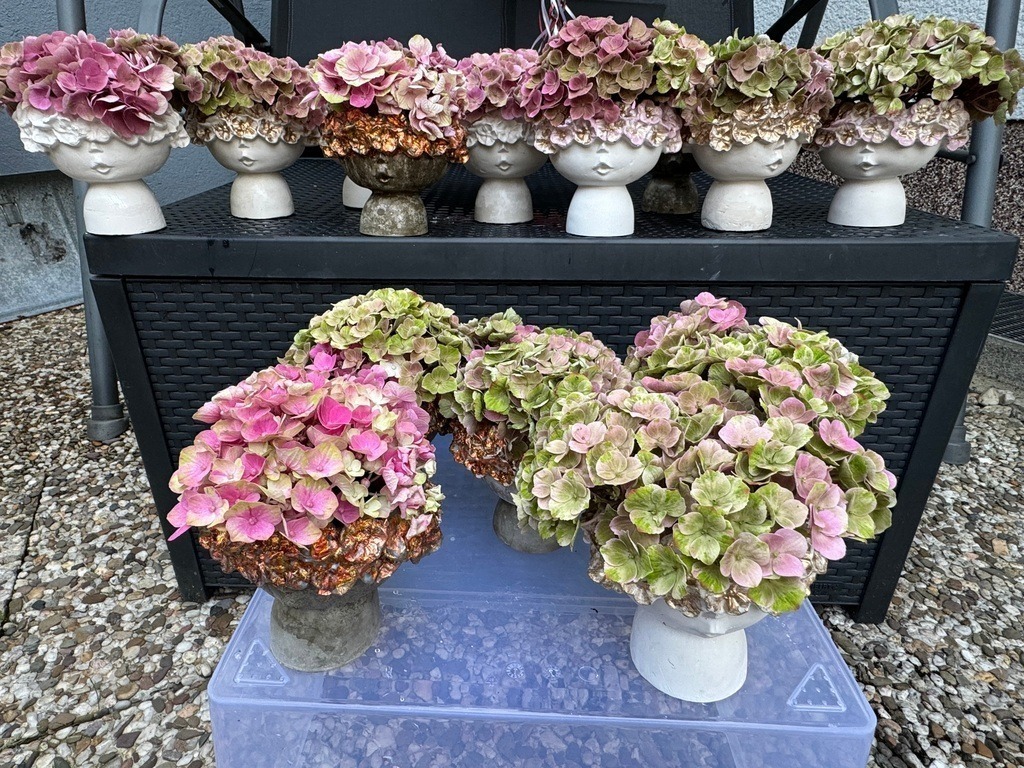 IMG_0102 | traudl_s_fotos