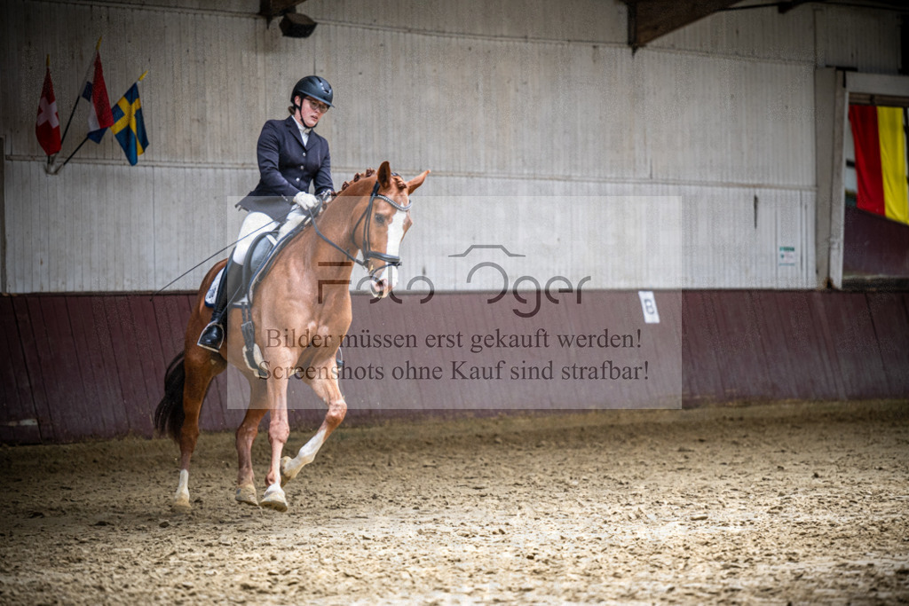 DOS_3198 | Reitturnier Lüdinghausen - Realisiert mit Pictrs.com