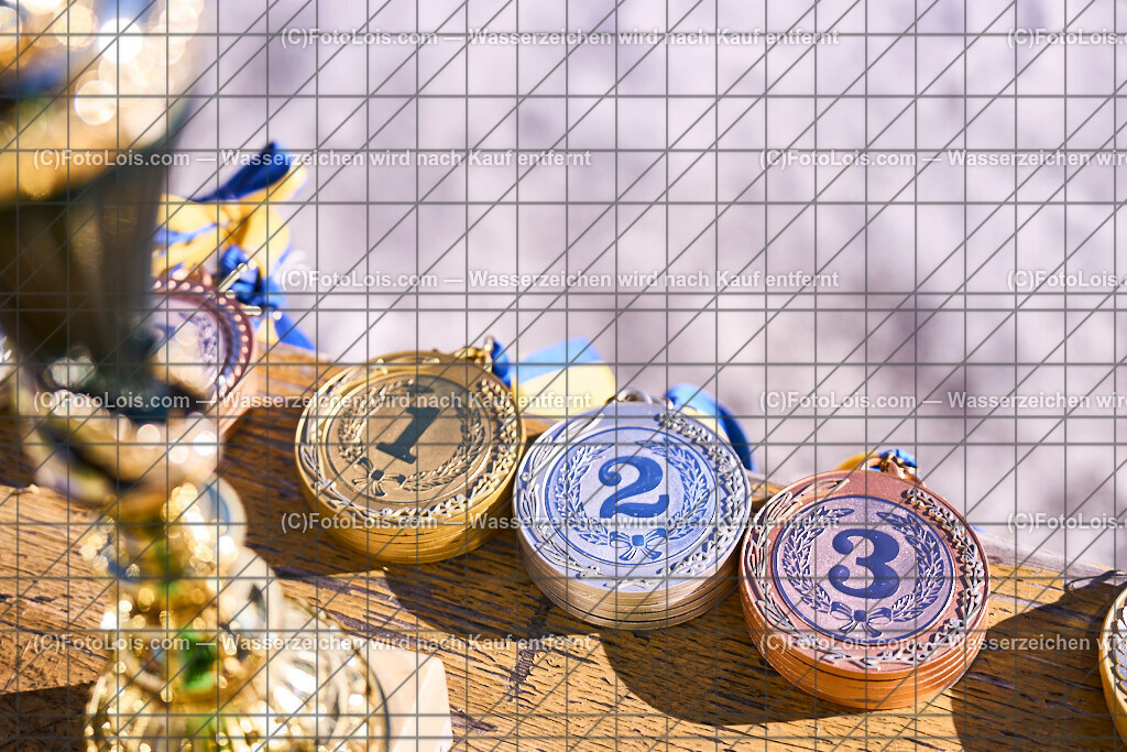 ALP6898_LM-der-Schulen_RTL_Ehrenpreise (2) | Hochzeitsfotograf mit dem Blick für´s Wesentliche, Firmung, Erstkommunion, Firmenfeiern, Sportfotoservice, Reproduktionen, Konzertfotografie, Pressefotografie, Luftbildfotografie, Innenarchitektur, Werbefotografie, Sponsoren-Livebildfotografie.