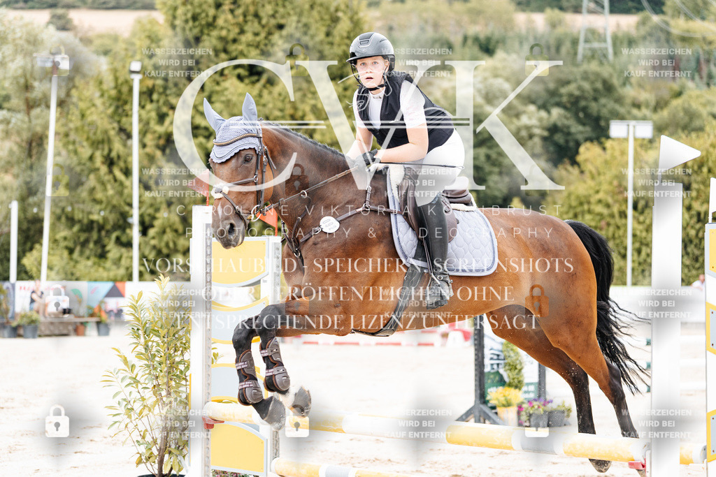 CK908022 | Turnierfotografie Pferdefotografie Trier Rheinland-Pfalz Pferdesport Reitsport Tierfotografie Sportfotografie Pferdevideo Pferdevideografie Equestrianvideography equestrianphotography  - Realisiert mit Pictrs.com