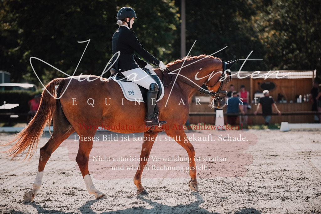 DSC_0443 | Pferde- und Turnierfotografie in Westsachsen. Pferdeportraits, Auftragszeichnungen und intuitive Kunst.