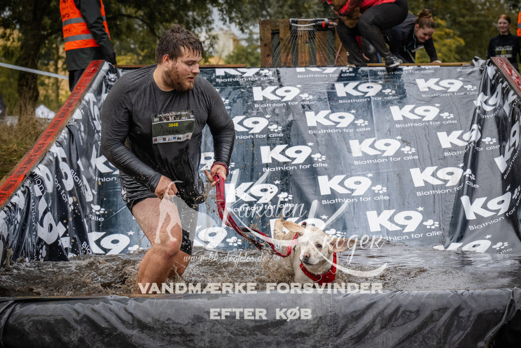 1210_ZZ94512 | kk-dogfotos