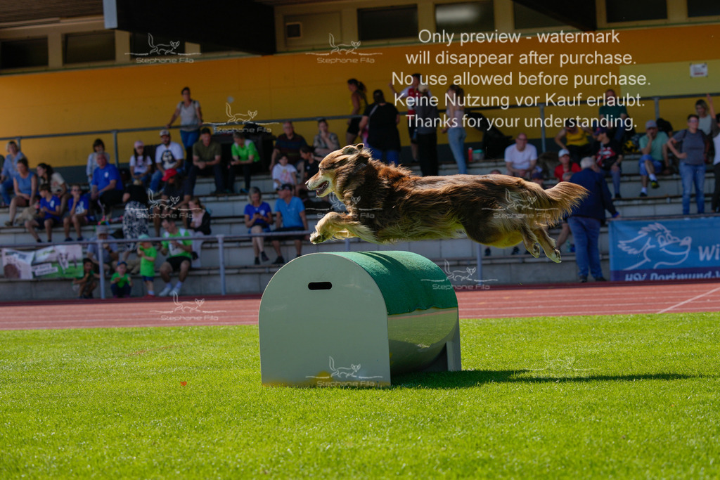 Sonntag_VK Hindernis (591 von 671) | stephaniefillaphotographie - Realisiert mit Pictrs.com