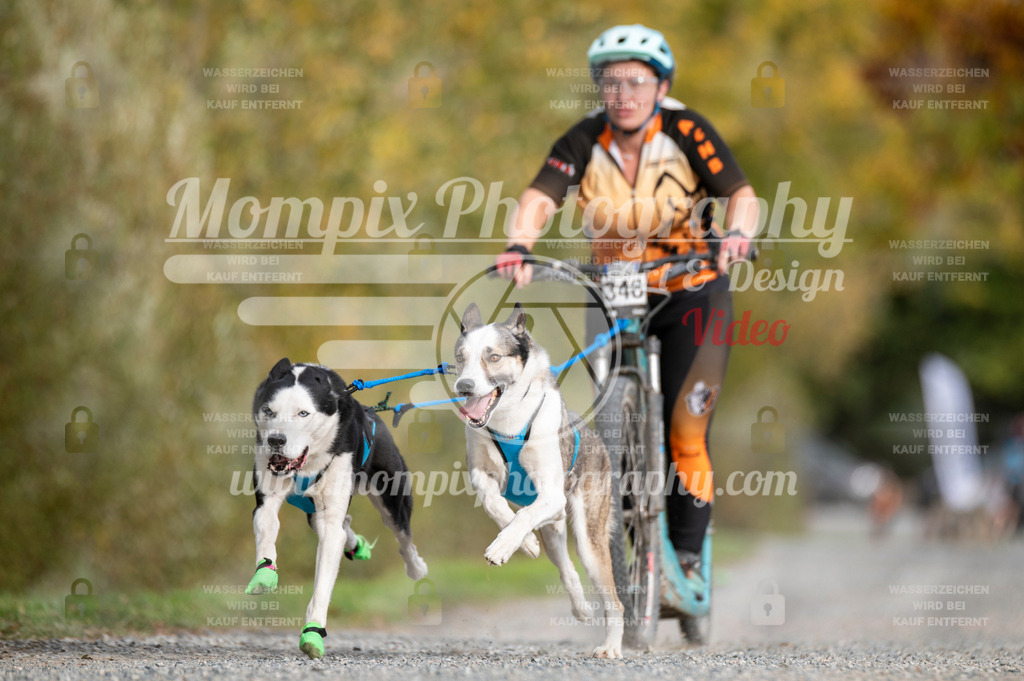 TSB_2023_E2_DS2-25 | PayLife