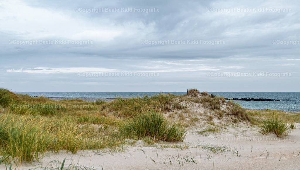 P1210788 | beatekidd-fotografie - Realisiert mit Pictrs.com