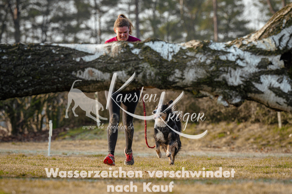 0832_ZZ95098 | kk-dogfotos