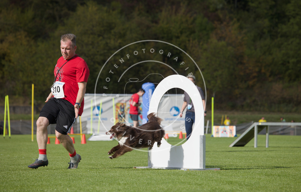 0L8A3713 | Hundefotografie, Tierfotograf, Pfotenfotografie, Fotoshooting Hund, Hunde Portrait, Hundesport, Hundeportraits, Heideshooting, Hunde, Sportfotograf, Hundefotograf, Turnierhundsport, THS,  - Realisiert mit Pictrs.com