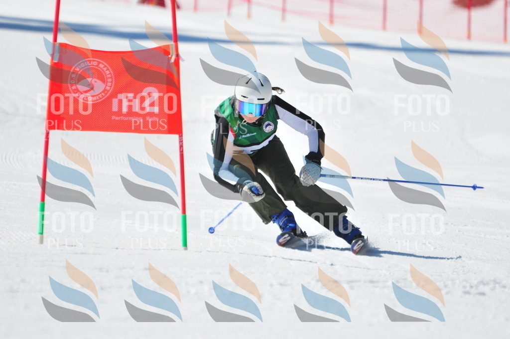 C4244 | holidayphoto