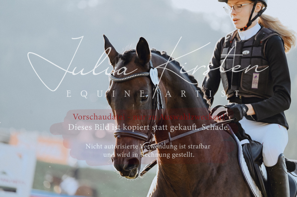 DSC_4206 | Pferde- und Turnierfotografie in Westsachsen. Pferdeportraits, Auftragszeichnungen und intuitive Kunst.