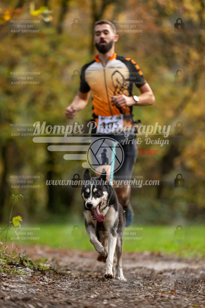 MompixPhotography_Bischwiller23_Canicross-55 | PayLife