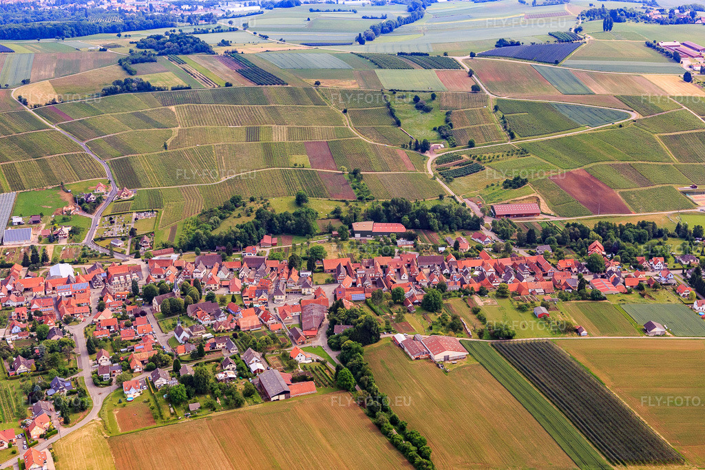 Vue aérienne: Vue de la ville depuis le sud à Steinseltz dans le département Bas Rhin, France – .Photo: IMG_100736.jpg prise le 05/06/2017 par Werner Riehm/FLY-FOTO.eu – Résolution de l'original: 5472 x 3648 px