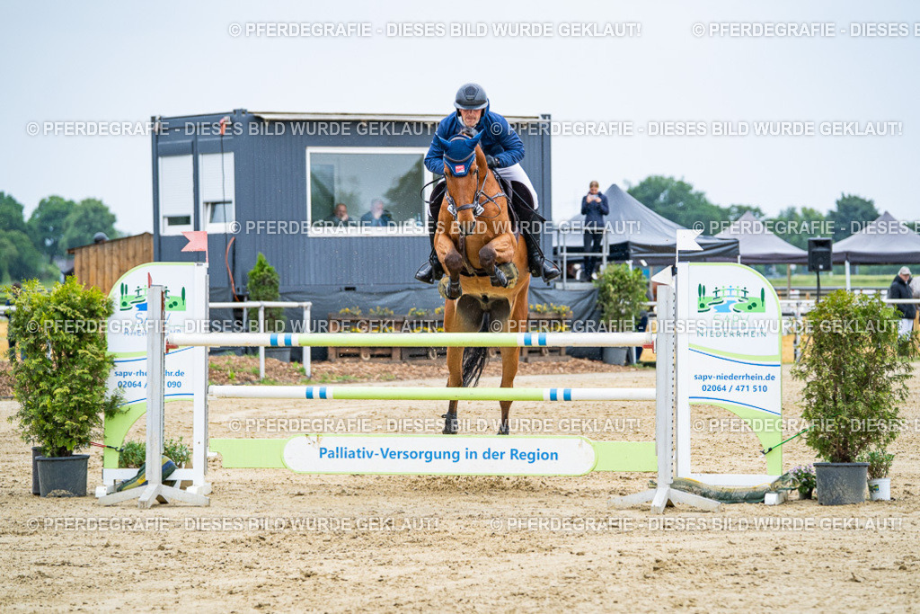 DSC08250 | Pferdegrafie