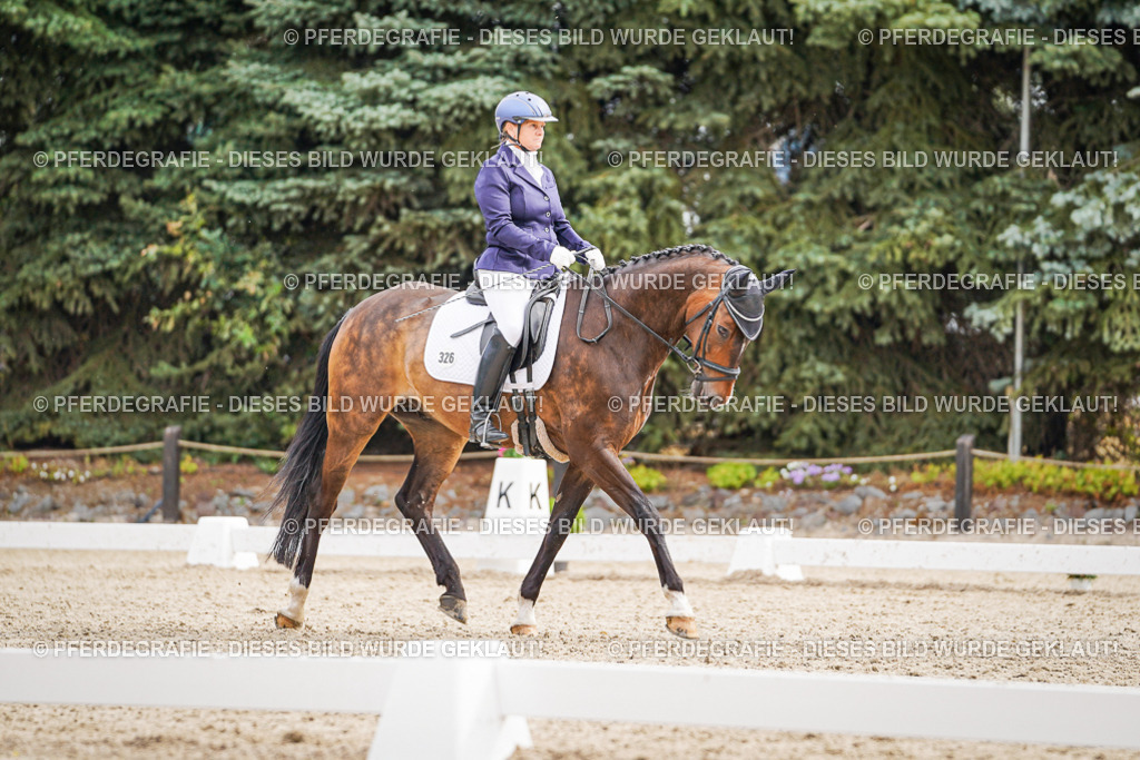 DSC01982 | Pferdegrafie