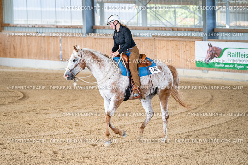 DSC01922 | Pferdegrafie