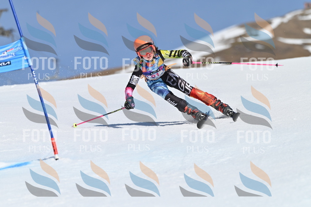 BGV_8741 | holidayphoto