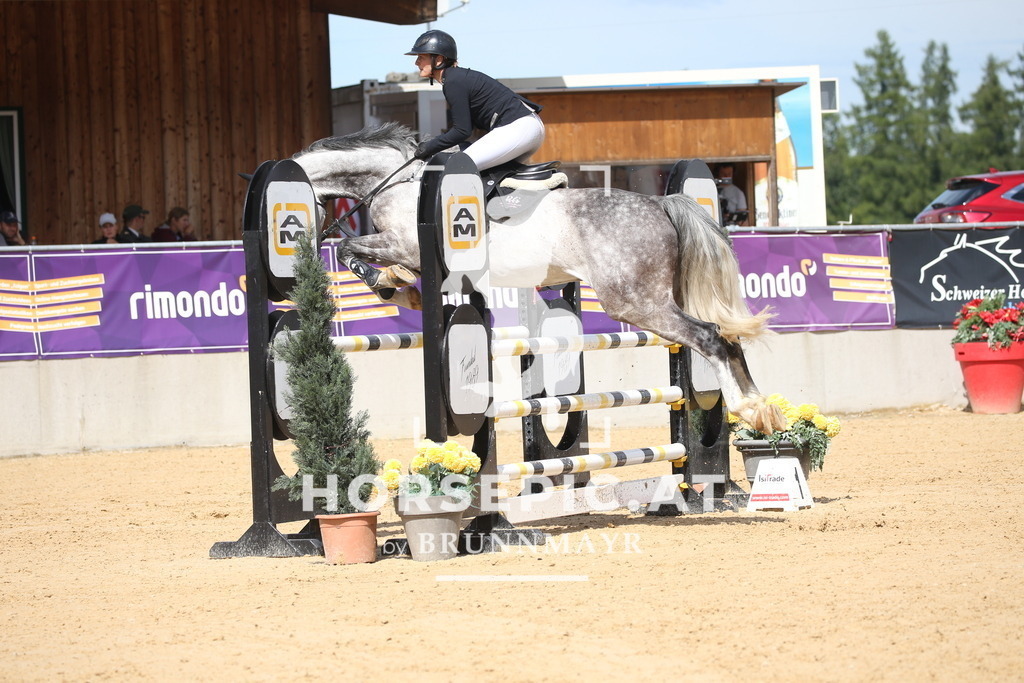DL2Q3205 | Willkommen bei Brunnmayr - Design & Fotografie – Ihrem Spezialisten für Reitturniere und Pferdeveranstaltungen in Oberösterreich, Salzburg und Bayern! Seit über 17 Jahren sind wir leidenschaftlich dabei.