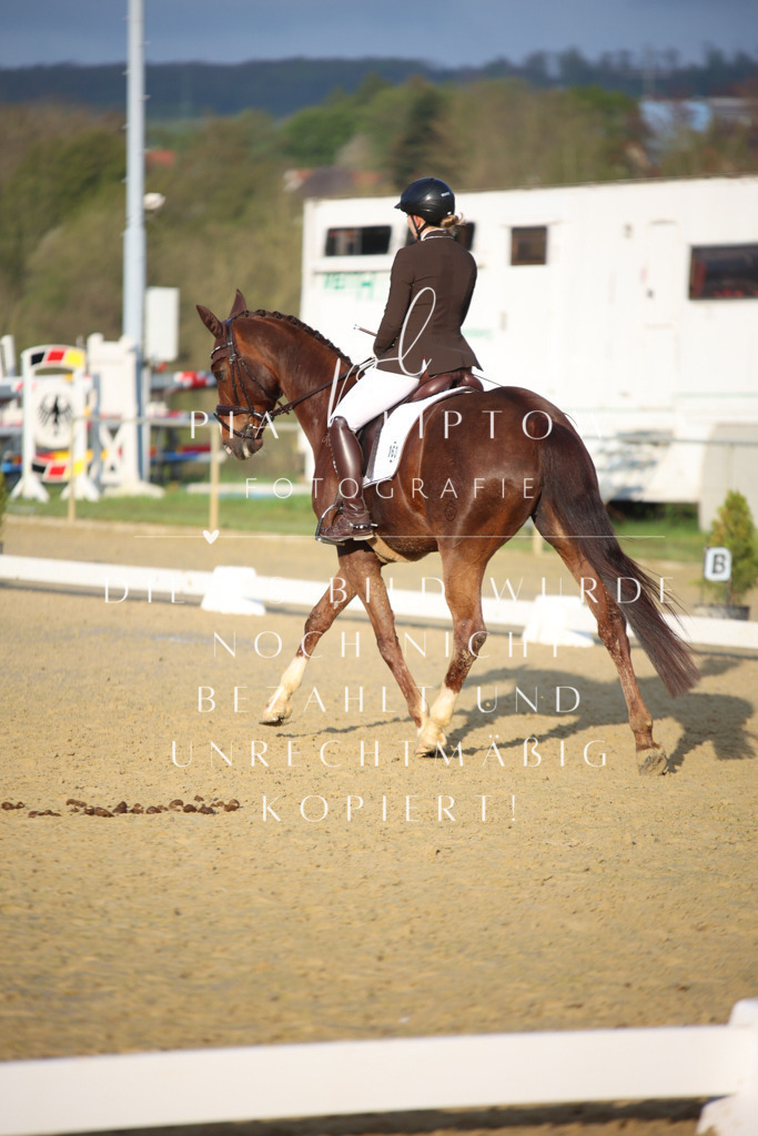 IMGT9137 | pl-fotografie