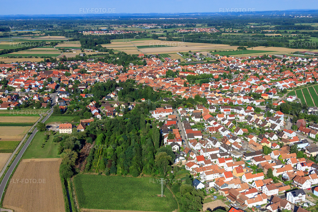 Luftbild: Im Wäldel in Hatzenbühl im Bundesland Rheinland-Pfalz in Deutschland. Foto: IMG_30783.jpg vom 31.07.2010 durch Werner Riehm/FLY-FOTO.de