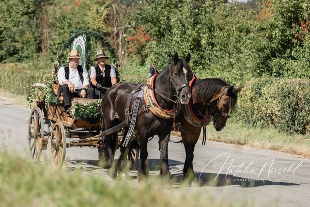 7V6A0984 | natalia-nirschl-photography