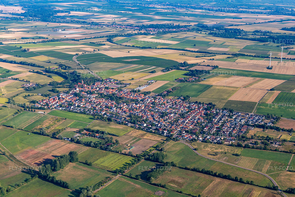 Luftbild:  in Minfeld im Bundesland Rheinland-Pfalz in Deutschland. – Foto: IMG_133792.jpg vom 14.08.2022 durch Werner Riehm/FLY-FOTO.de – Auflösung des Originals: 5472 x 3648 px – Gemeinde Minfeld