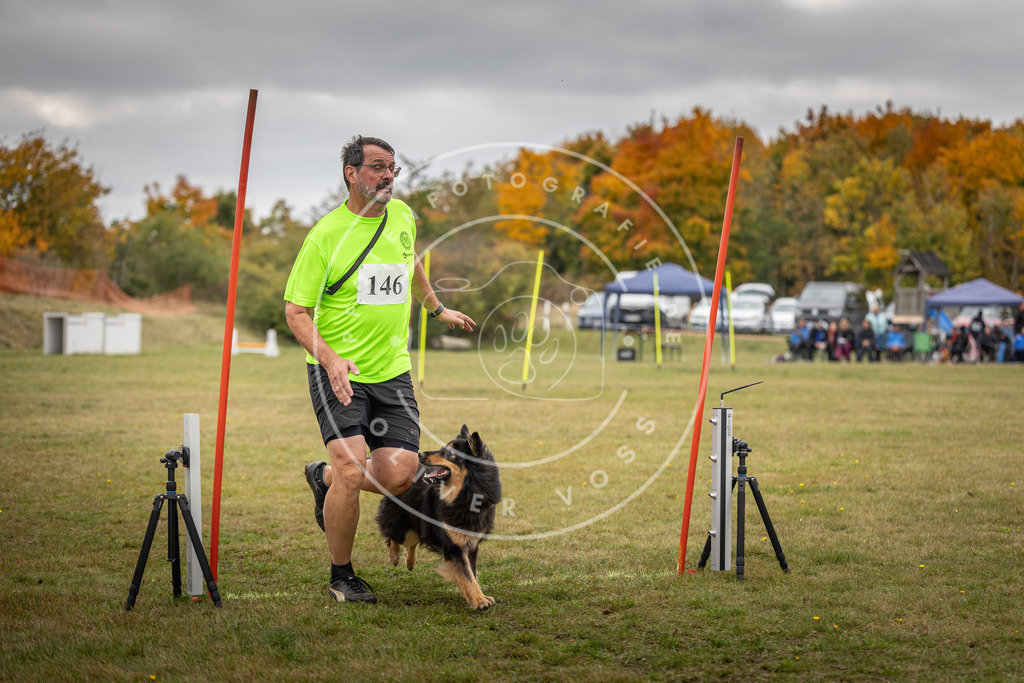Pfotenfotografie_DV3A6381 | Hundefotografie, Tierfotograf, Pfotenfotografie, Fotoshooting Hund, Hunde Portrait, Hundesport, Hundeportraits, Heideshooting, Hunde, Sportfotograf, Hundefotograf, Turnierhundsport, THS,  - Realisiert mit Pictrs.com
