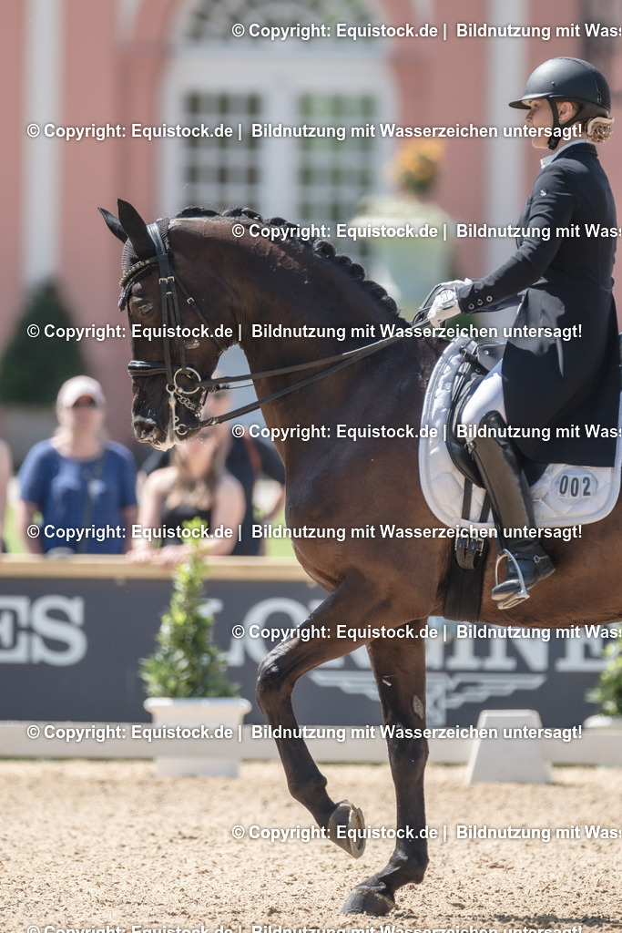 20230529_29_Louisdor_0134 | equistock