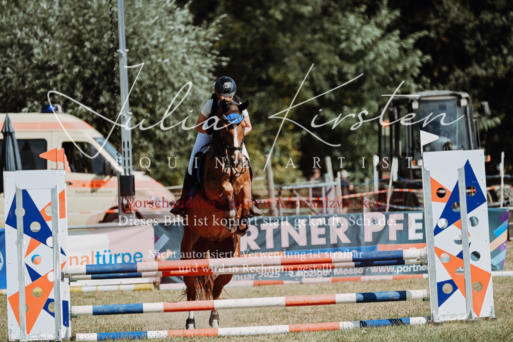 DSC_9631 | Pferde- und Turnierfotografie in Westsachsen. Pferdeportraits, Auftragszeichnungen und intuitive Kunst.