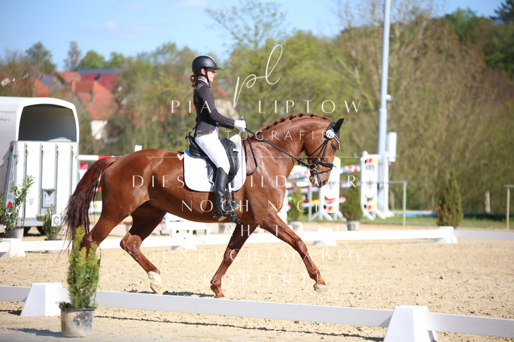 IMGT8726 | pl-fotografie