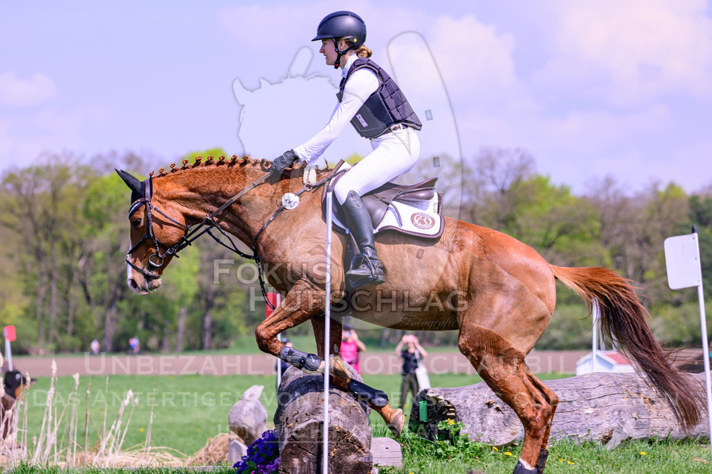 18042026-Gernlinden-01-1-0472 | Fokus Hufschlag Fotografie - Realisiert mit Pictrs.com