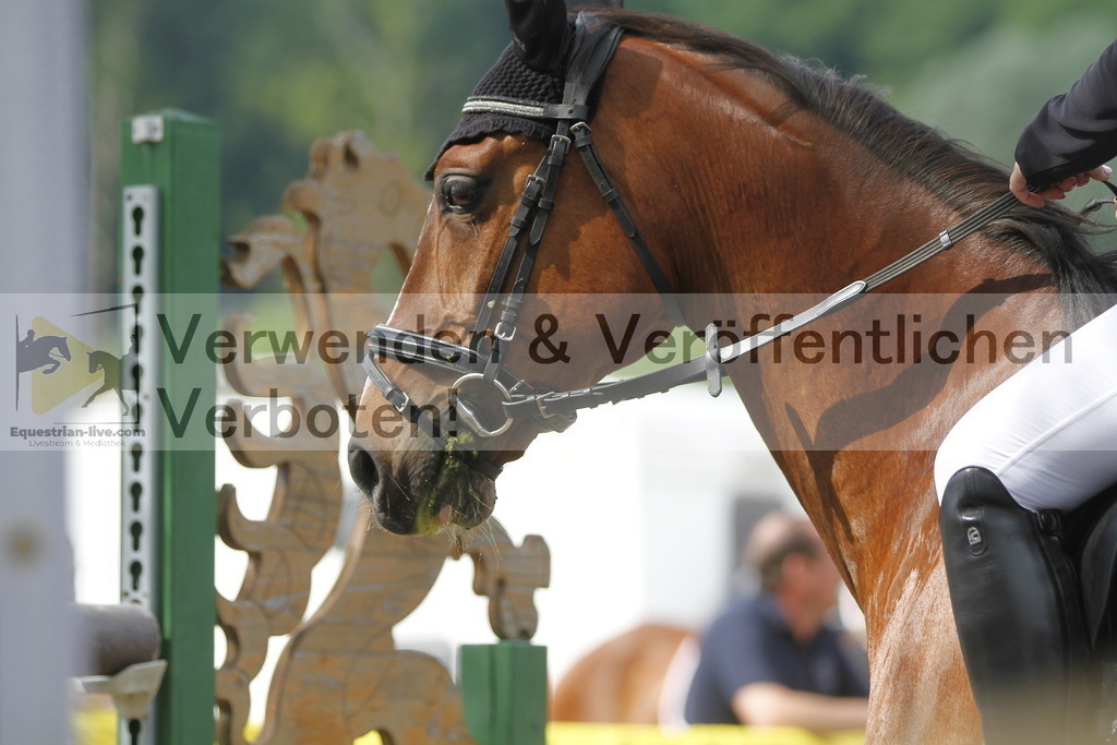 _MG_4558 | equestrian-live-com
